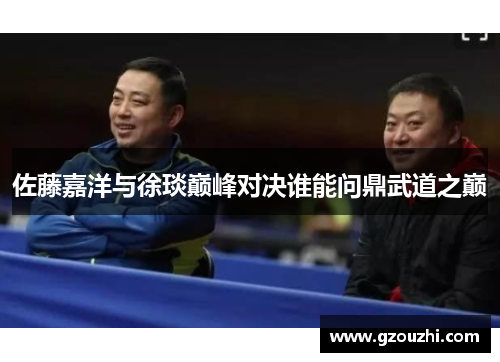 佐藤嘉洋与徐琰巅峰对决谁能问鼎武道之巅