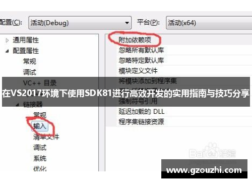 在VS2017环境下使用SDK81进行高效开发的实用指南与技巧分享